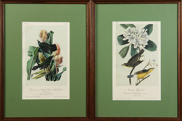 Assorted prints of birds (1 of 3)