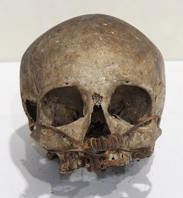 Papua New Guinea human skull, possibly Irian Jaya, late (1 of 6)