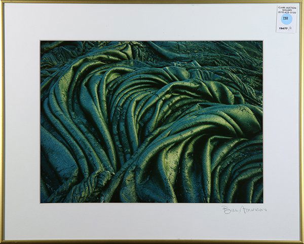 Photograph, Bill Atkinson (1 of 1)