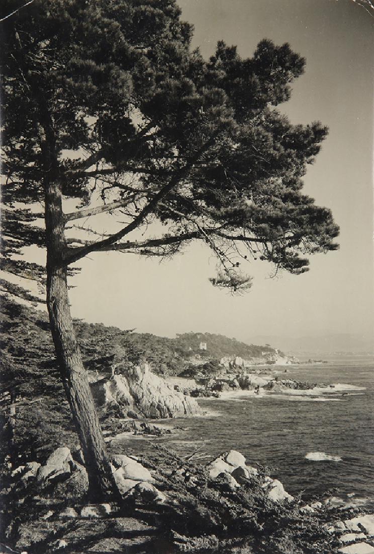 Ansel Adams (American, 1902-1984) "Del Monte, CA," (1 of 2)