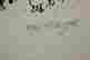 item-50158973=3