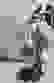 item-50312597=3