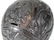 Mexican Colonial Carved Coconut Shell Bank - 19