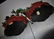 Pair Chinese Cinnabar planter and Jade plant - 2