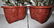 Pair Chinese Cinnabar planter and Jade plant - 5