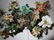 Pair Chinese Cinnabar planter and Jade plant - 6