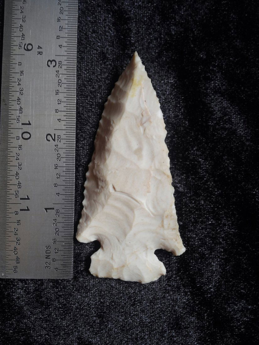 DOVETAIL: IT IS 3 INCHES LONG HAS EAR NICK FROM MISSOURI