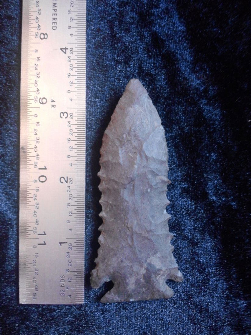 PINE TREE    INDIAN ARTIFACTS  ARROWHEADS (1 of 1)