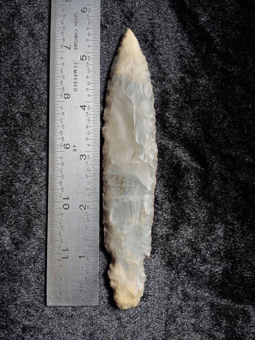 TURKEY TAIL      INDIAN ARTIFACT ARROWHEAD (1 of 1)