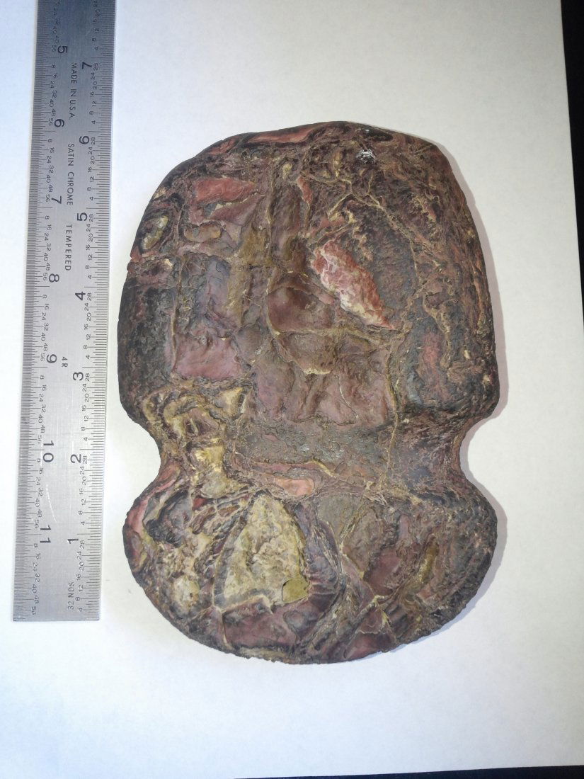 HEMATITE GROOVED AX (1 of 1)