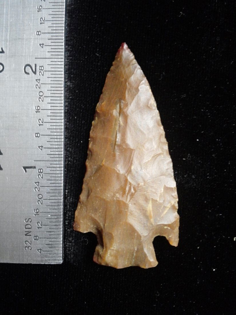 APPLE CREEK   ARROWHEAD INDIAN ARTIFACT (1 of 1)