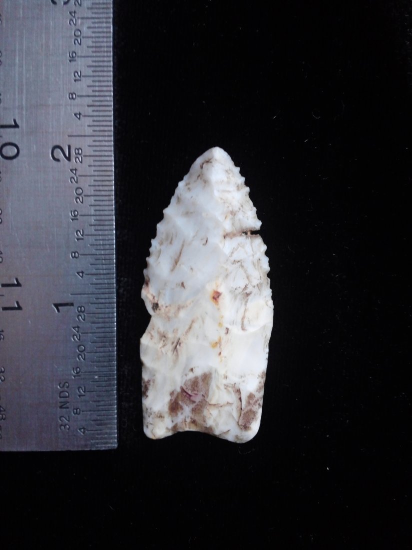 DALTON       ARROWHEAD INDIAN ARTIFACT (1 of 1)