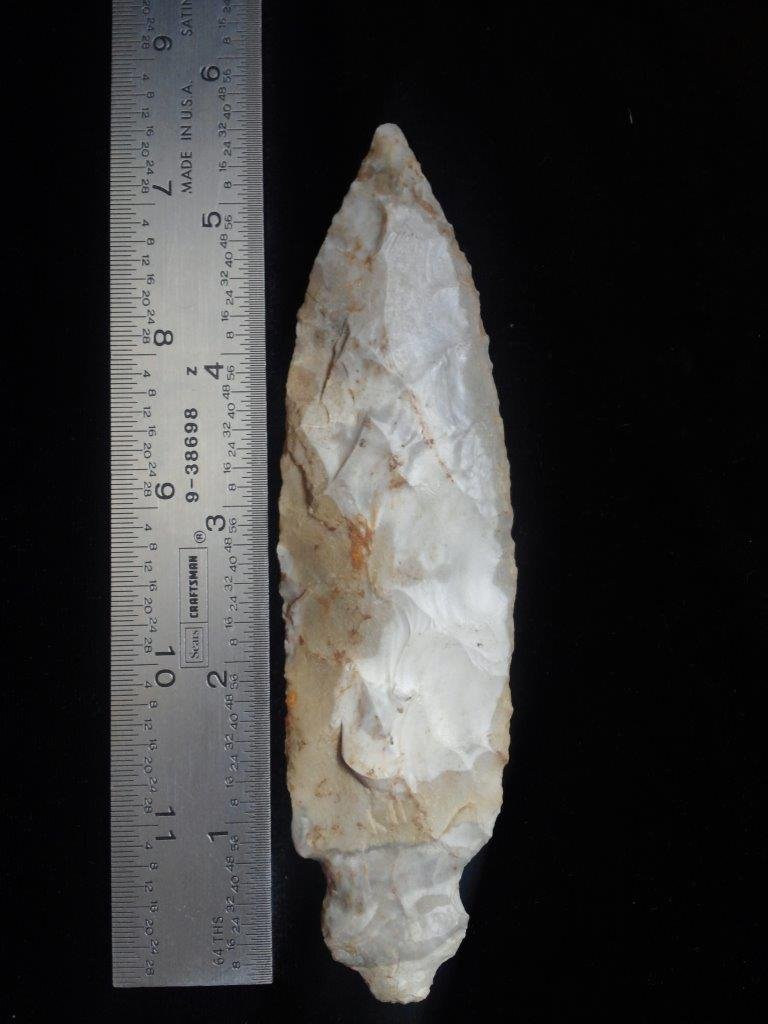 DOUBLE NOTCHED TURKEYTAIL (1 of 1)