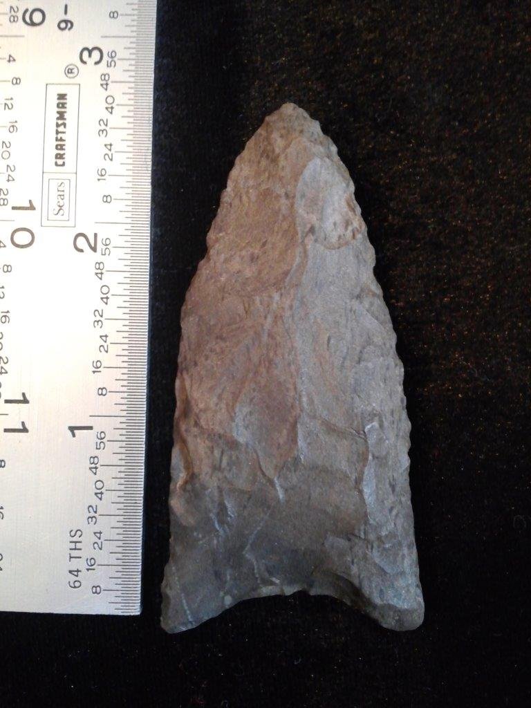 CLOVIS: IT IS 2&3/4 INCHES LONG. IT IS FROM MISSOURI. IT WOULD MAKE A GREAT ADDITION TO YOUR COLLECTION!