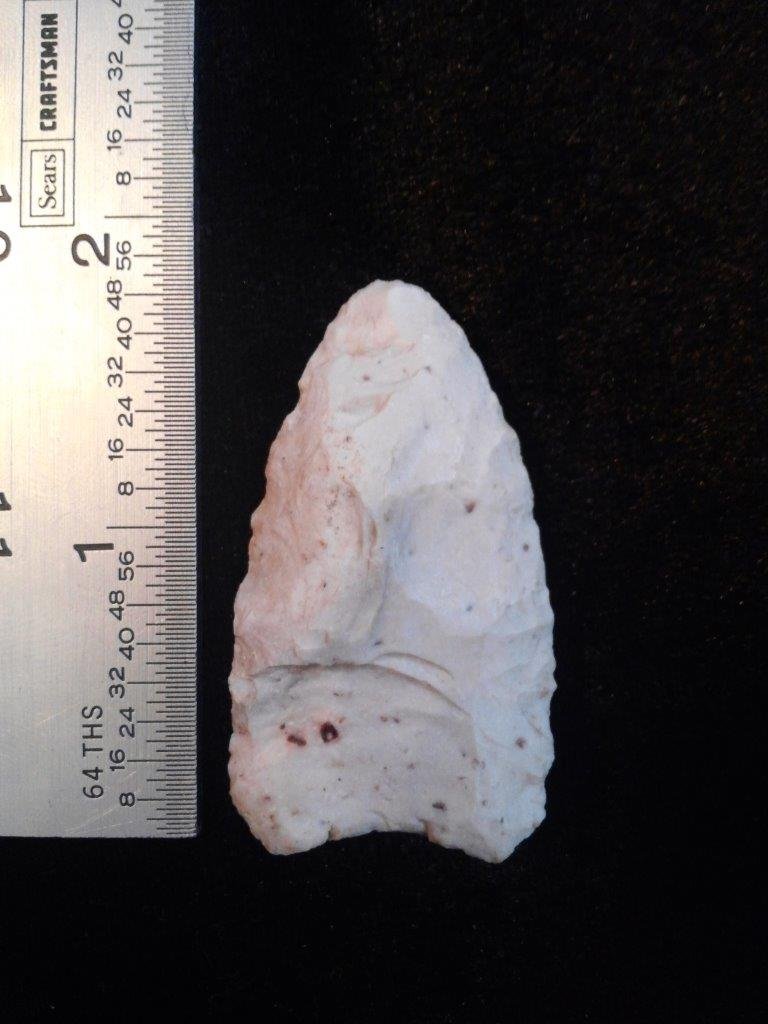 DALTON: IT IS 1&3/4 INCHES LONG. IT IS FROM NE ARKANSAS. IT WOULD MAKE A GREAT ADDITION TO YOUR COLLECTION!