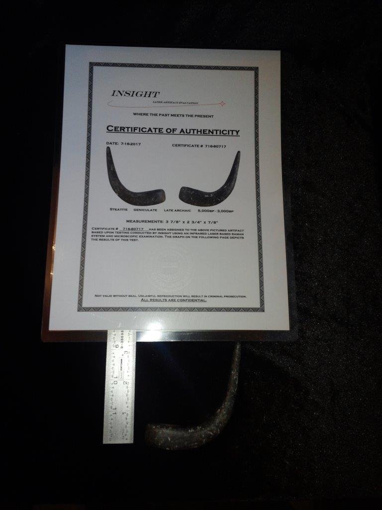 GENICULATE  WITH INSIGHT LASER ARTIFACT EVALUATION  COA (1 of 4)