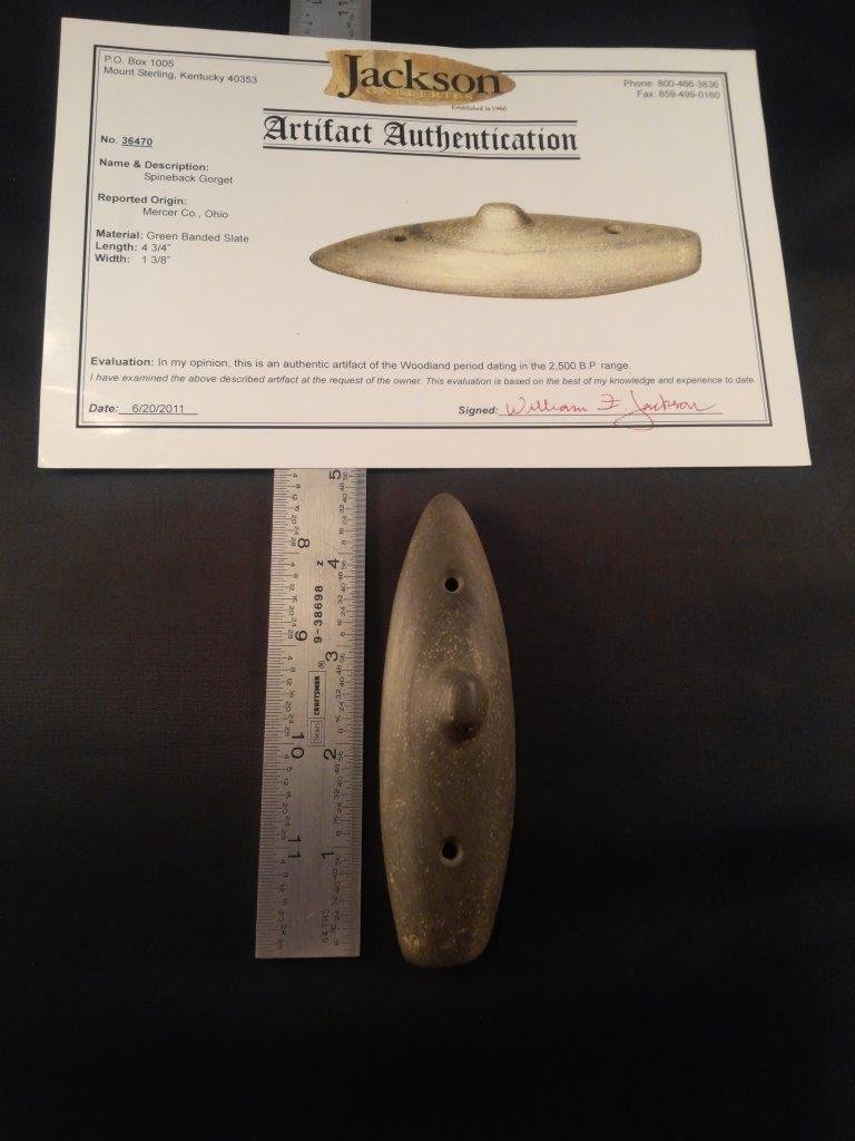 SPINEBACK GORGET WITH JACKSON  COA (1 of 9)