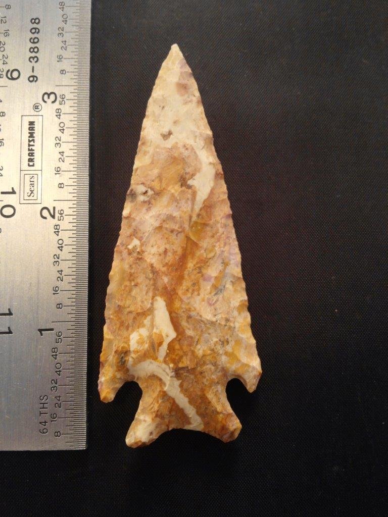 APPLE CREEK (1 of 3)