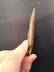 GREENBRIAR WITH TOM DAVIS COA - 5
