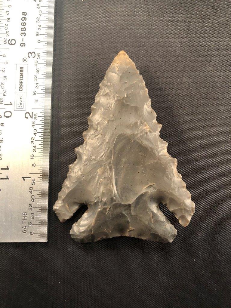 PINE TREE    INDIAN ARTIFACT ARROWHEAD (1 of 3)