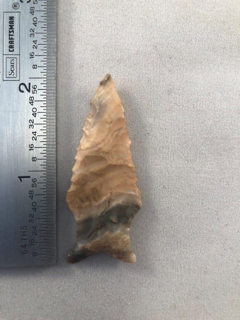 DALTON INDIAN ARTIFACT ARROWHEAD: THIS BEAUTIFUL ARTIFACT IS 2&1/8 INCHES LONG. IT COMES FROM MISSOURI. IT WILL MAKE AGREAT ADDITION TO YOUR COLLECTION!