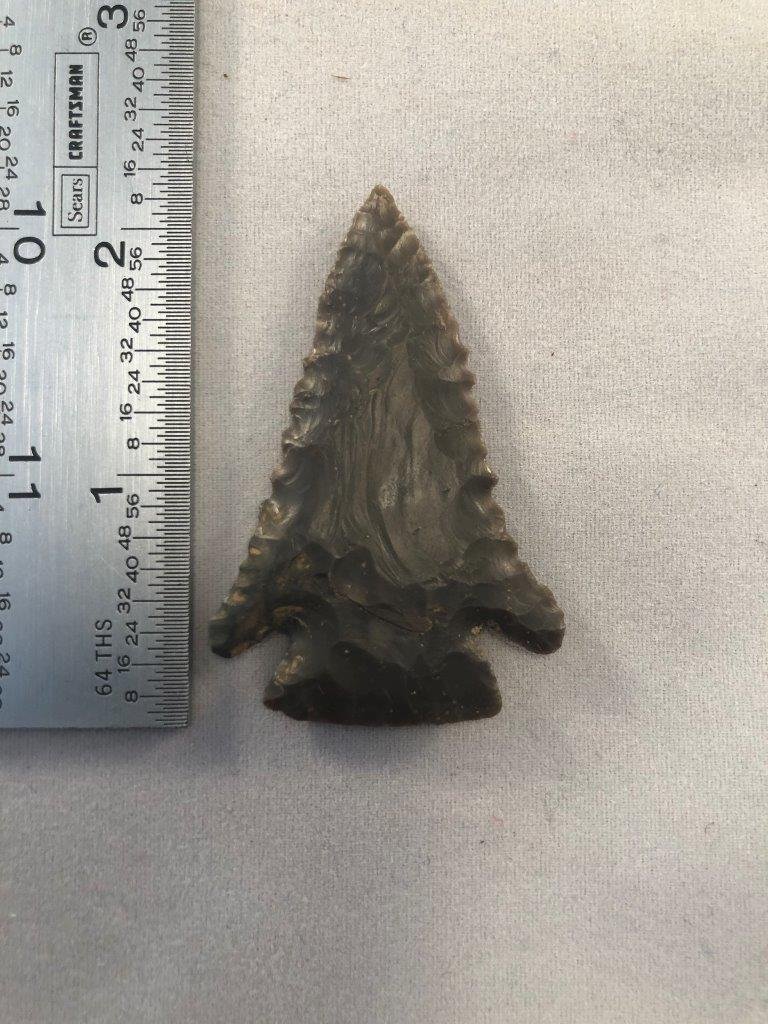 PINE TREE    INDIAN ARTIFACT ARROWHEAD (1 of 3)