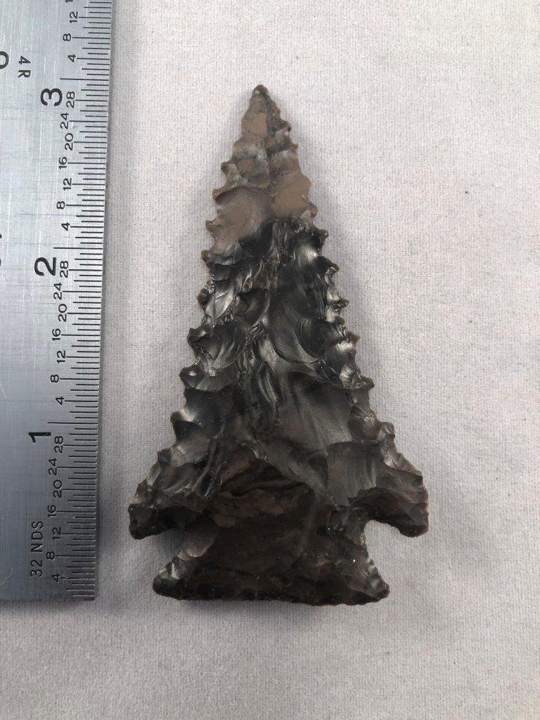 PINE TREE     INDIAN ARTIFACT ARROWHEAD (1 of 3)