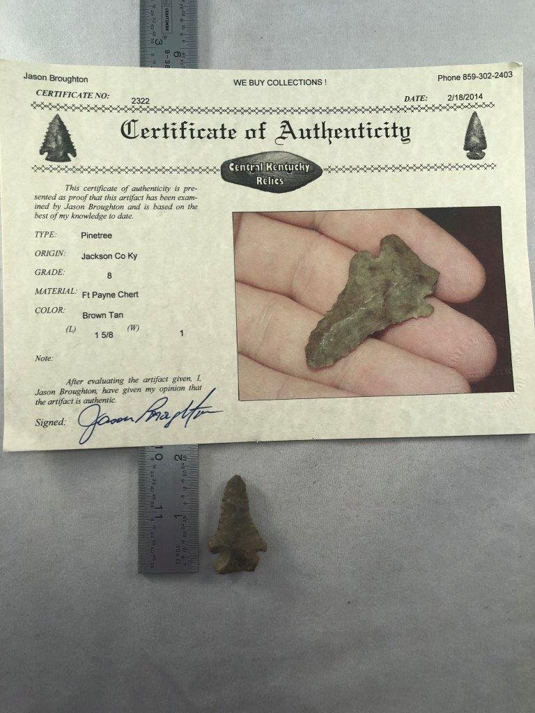 PINE TREE WITH COA: THIS BEAUTIFUL ARTIFACT IS 1&5/8 INCHES LONG. IT IS FROM JACKSON COUNTY KENTUCKY. IT COMES WITH A JASON BROUGHTON CERTIFICATE OF AUTHENTICITY. IT WILL MAKE A GREAT ADDITION TO YOUR COLLECTION!
