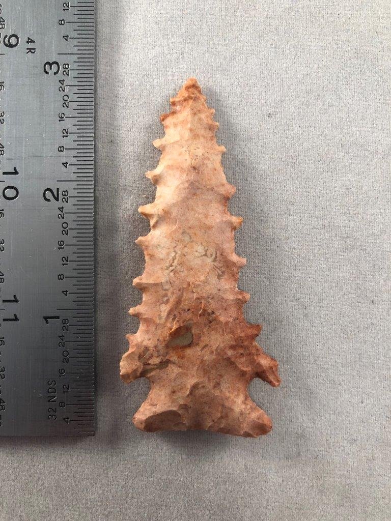 PINE TREE       INDIAN ARTIFACT ARROWHEAD (1 of 3)