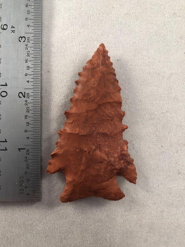PINE TREE       INDIAN ARTIFACT ARROWHEAD (1 of 3)