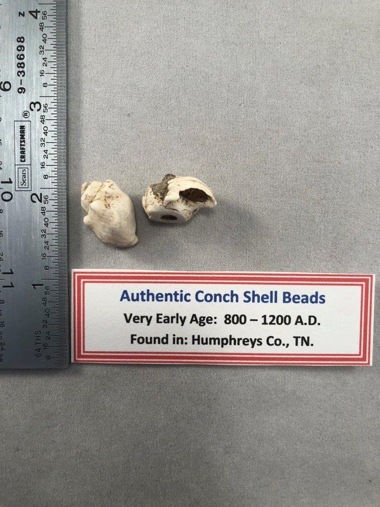 2 CONCH SHELL BEADS    INDIAN ARTIFACT ARROWHEAD (1 of 2)