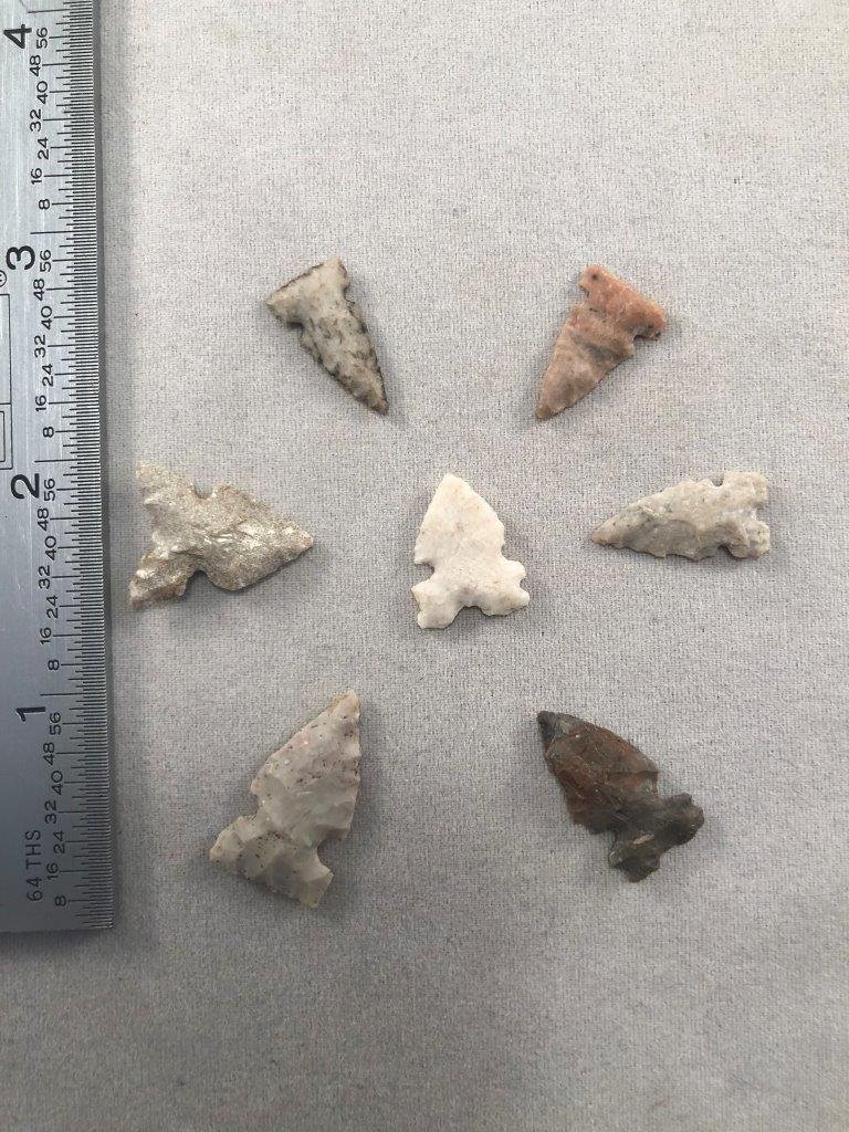 7 CAHOKIA POINTS   INDIAN ARTIFACT ARROWHEAD (1 of 2)