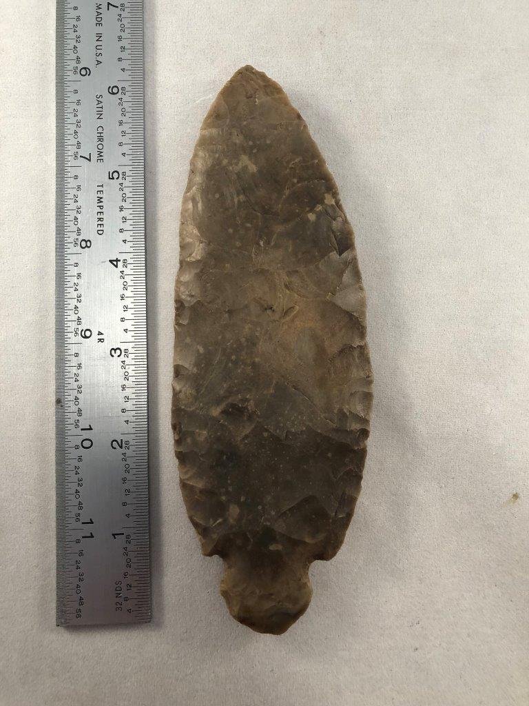 TURKEY TAIL        INDIAN ARTIFACT ARROWHEAD (1 of 3)
