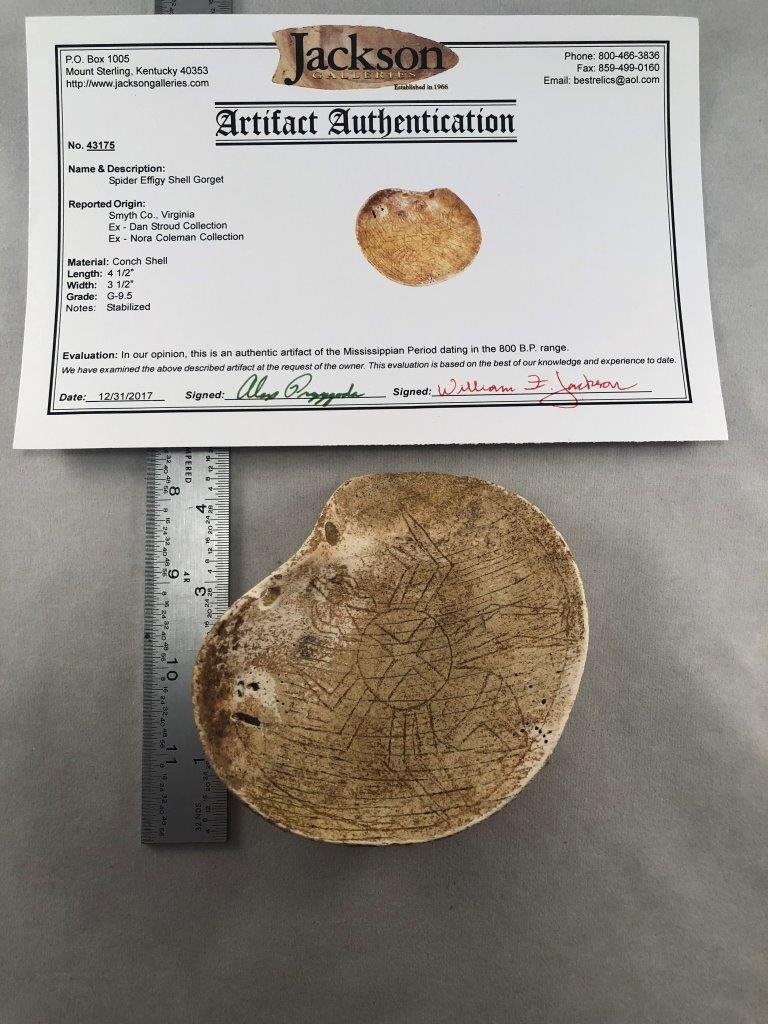 SPIDER EFFIGY SHELL GORGET       WITH   COA'S (1 of 8)