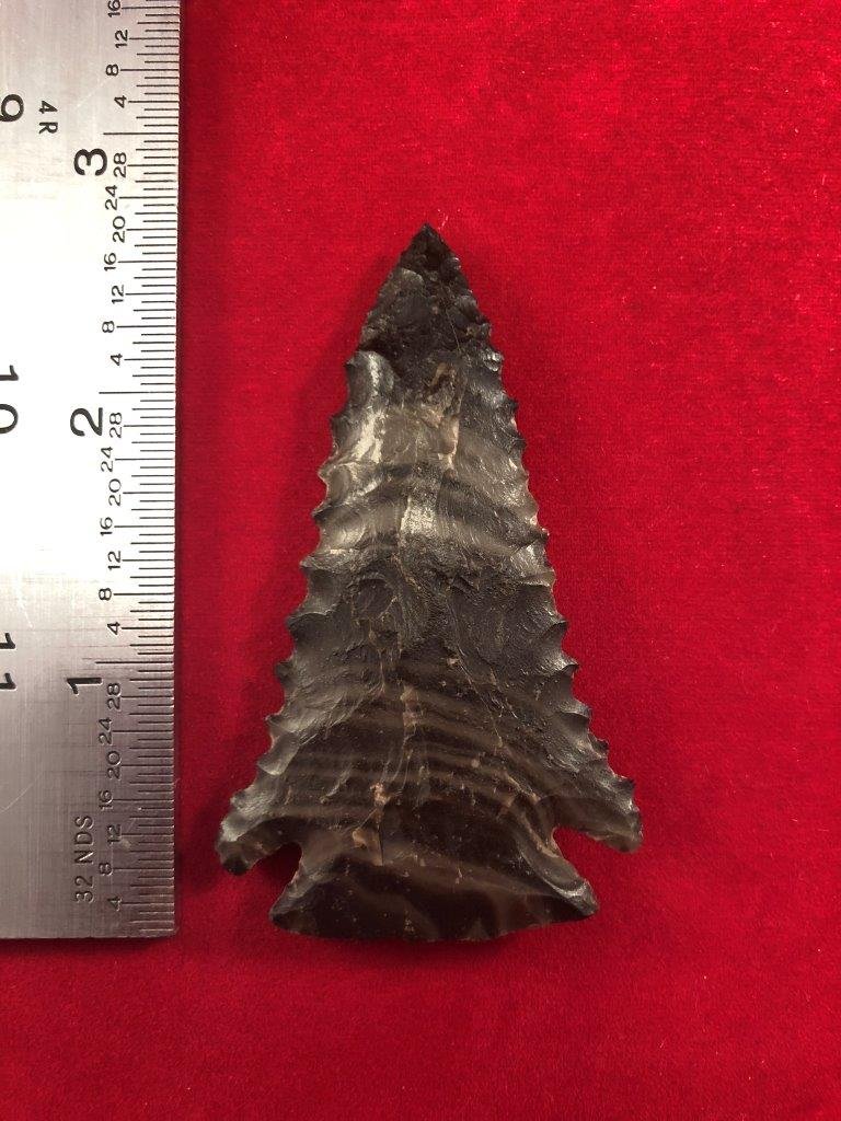 PINE TREE       INDIAN ARTIFACT ARROWHEAD (1 of 3)