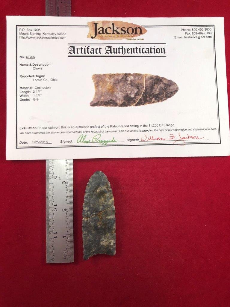 CLOVIS      INDIAN ARTIFACT ARROWHEAD WITH COA (1 of 5)