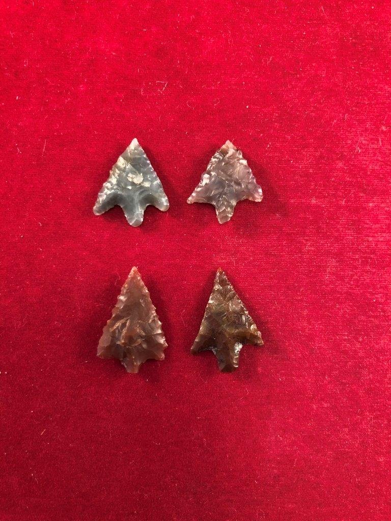 4 WASHINGTON BIRD  POINTS    ARROWHEADS INDIAN ARTIFACT (1 of 2)