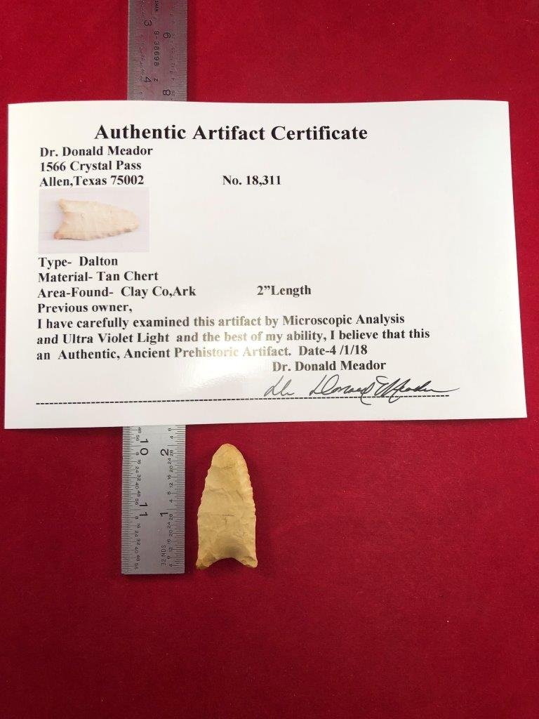 DALTON    INDIAN ARTIFACT ARROWHEAD WITH COA (1 of 5)