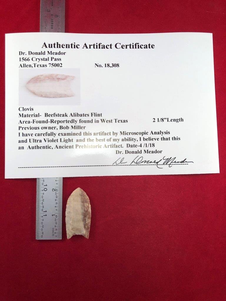 CLOVIS    INDIAN ARTIFACT ARROWHEAD WITH COA (1 of 5)