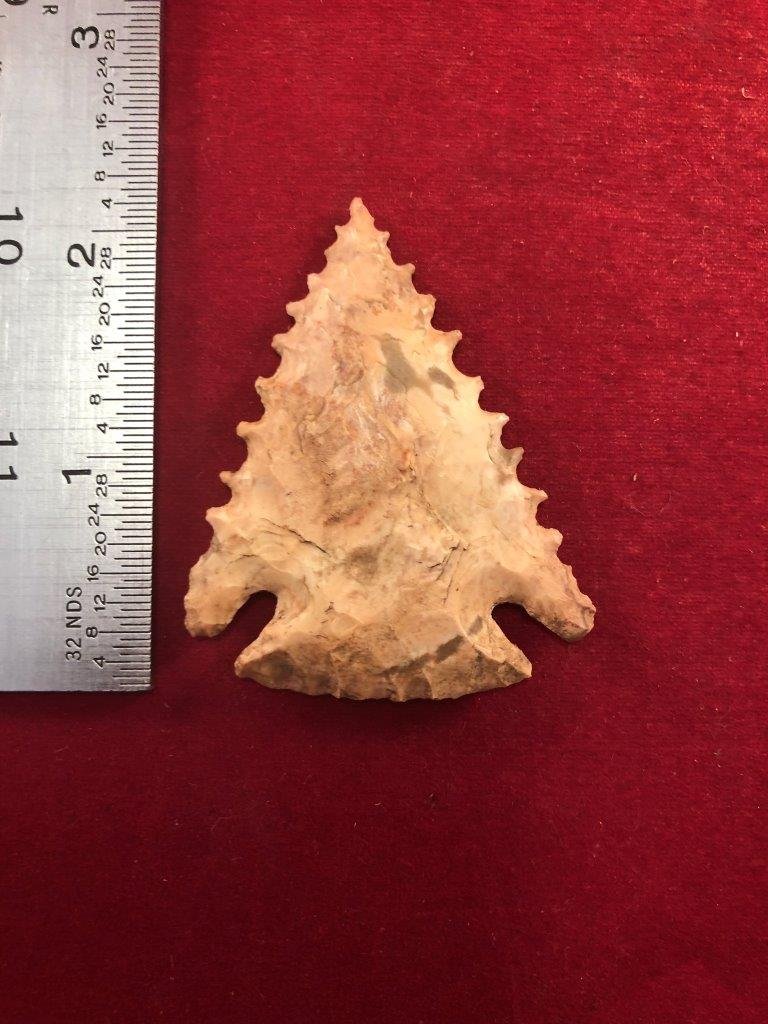 PINE TREE     INDIAN ARTIFACT ARROWHEAD (1 of 3)