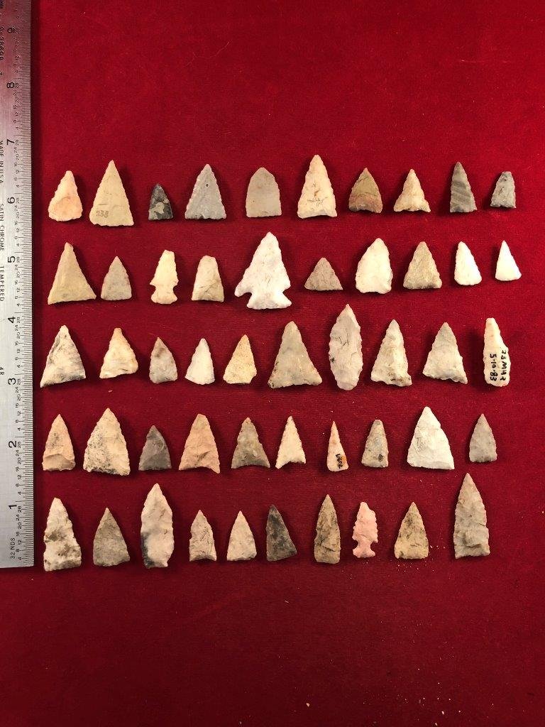 50 BIRD POINTS    INDIAN ARTIFACT ARROWHEAD (1 of 2)