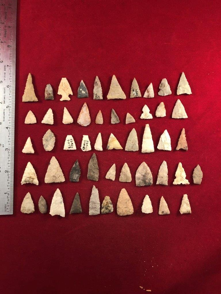 50 BIRD POINTS    INDIAN ARTIFACT ARROWHEAD (1 of 2)