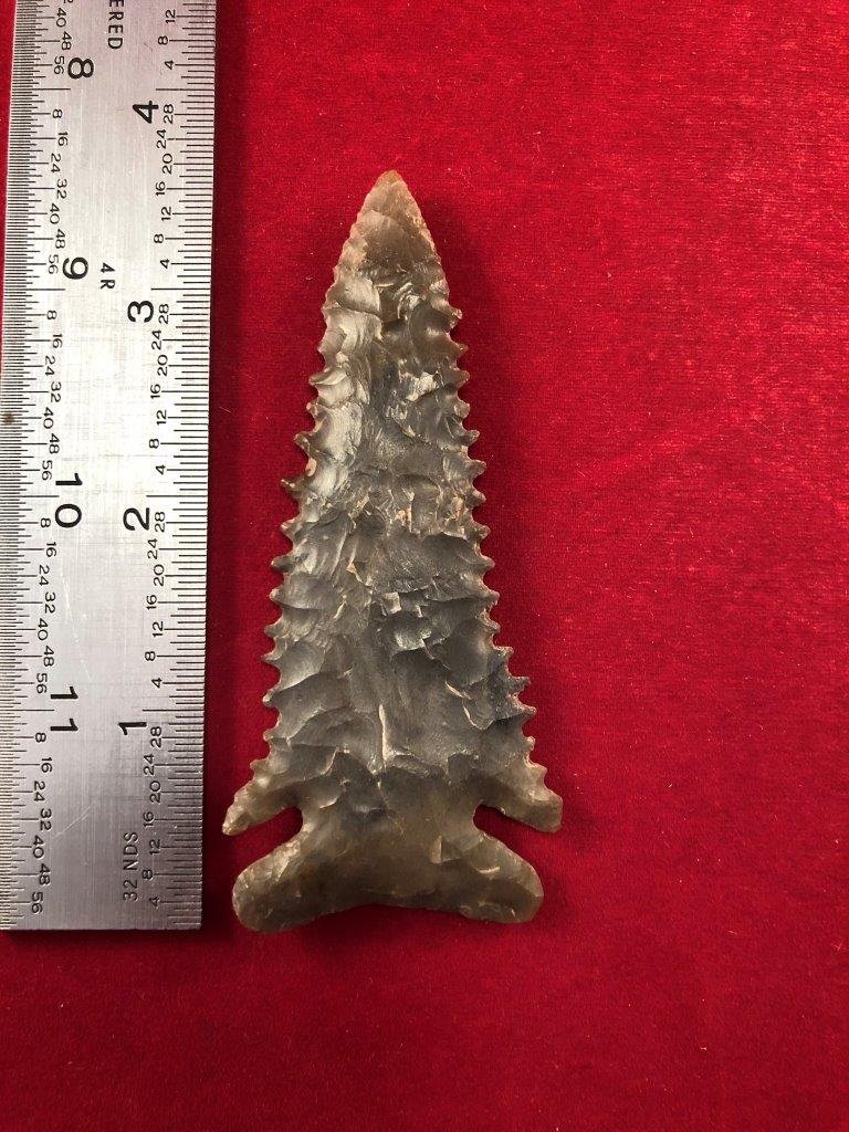 PINE TREE      INDIAN ARTIFACT ARROWHEAD (1 of 3)