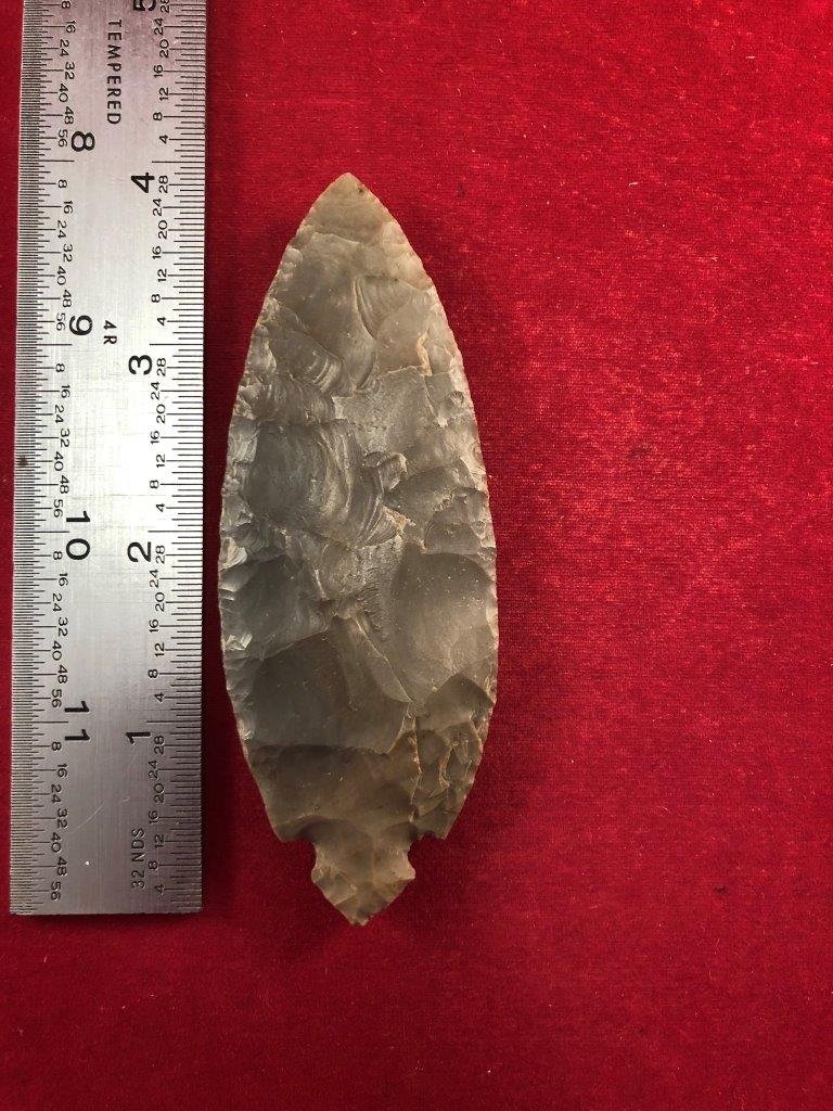 TURKEY TAIL      INDIAN ARTIFACT ARROWHEAD (1 of 3)