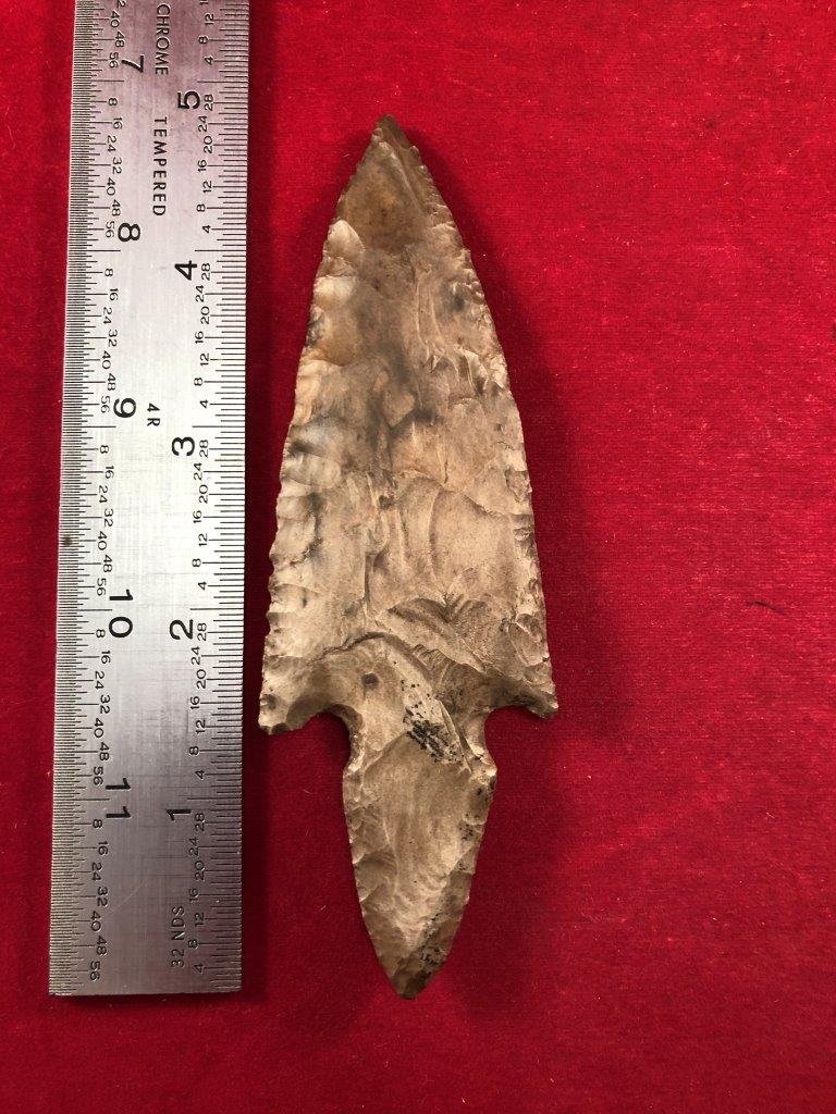 TURKEY TAIL      INDIAN ARTIFACT ARROWHEAD (1 of 3)