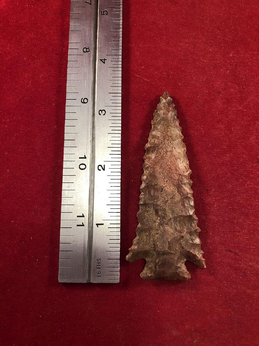 PINE TREE      INDIAN ARTIFACT ARROWHEAD (1 of 3)