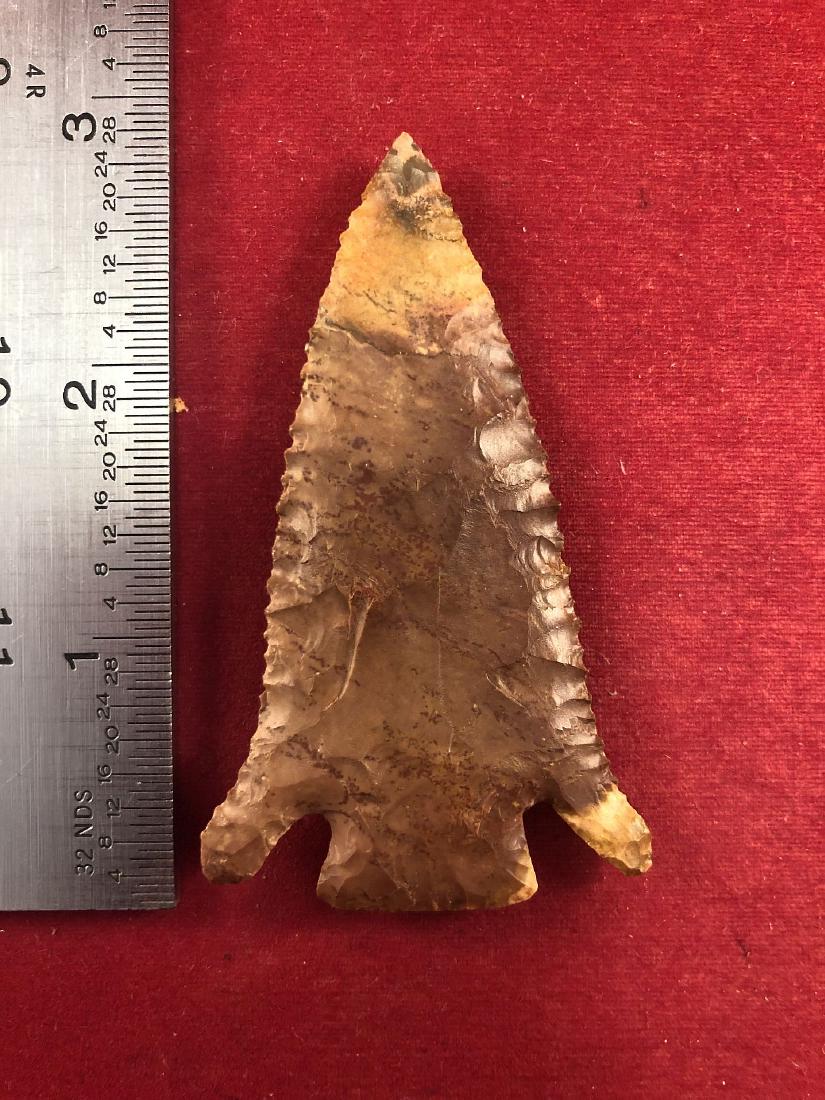 PINE TREE     INDIAN ARTIFACT ARROWHEAD (1 of 3)