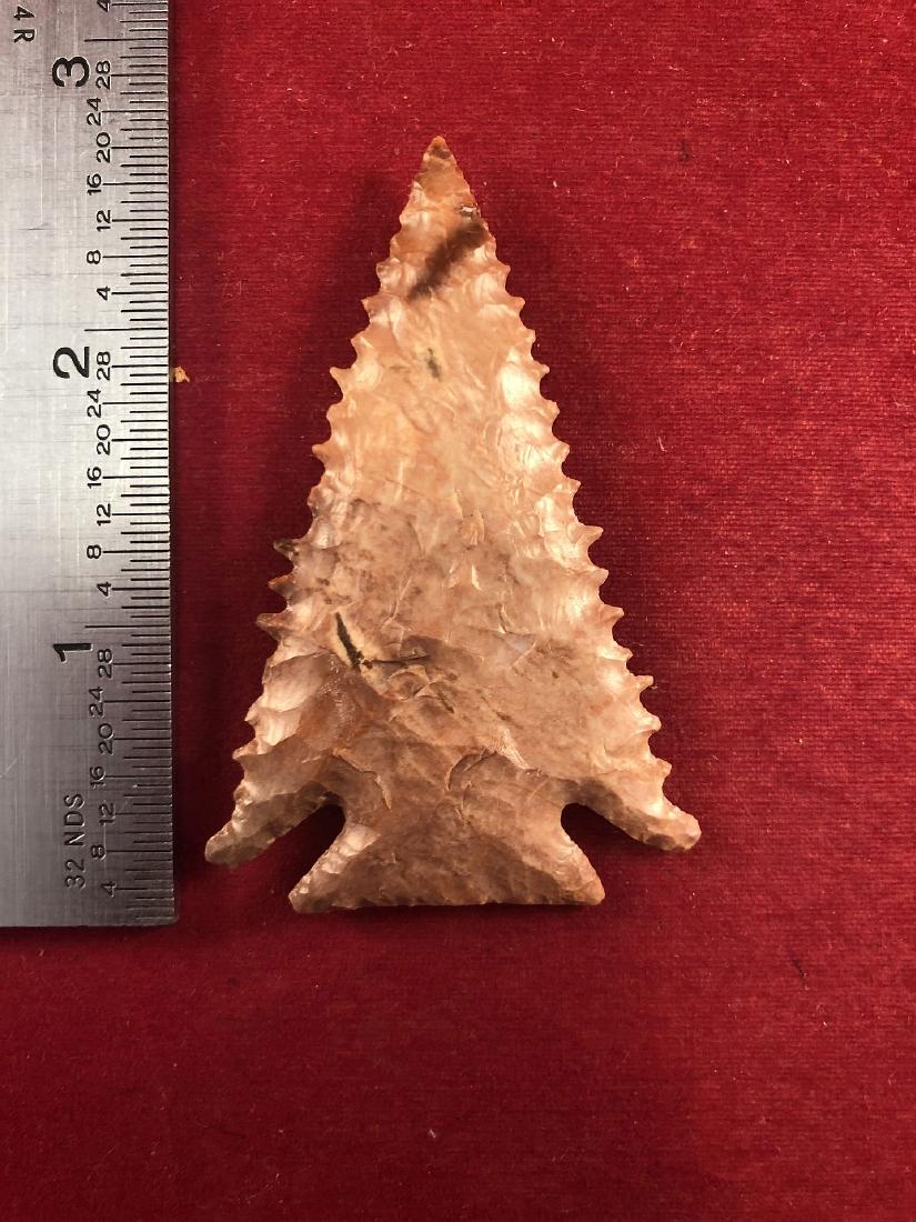 PINE TREE     INDIAN ARTIFACT ARROWHEAD (1 of 3)