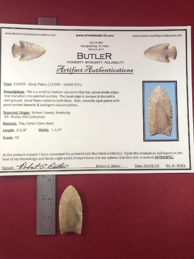 CLOVIS     INDIAN ARTIFACT ARROWHEAD WITH COA (1 of 5)