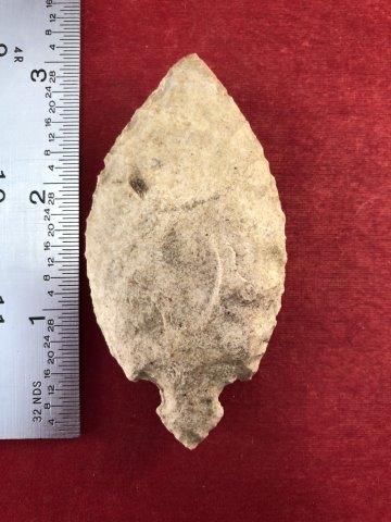 TURKEYTAIL     INDIAN ARTIFACT ARROWHEAD W/COA (1 of 5)